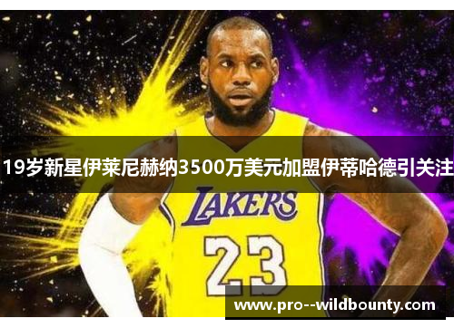 19岁新星伊莱尼赫纳3500万美元加盟伊蒂哈德引关注