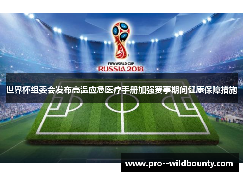 世界杯组委会发布高温应急医疗手册加强赛事期间健康保障措施