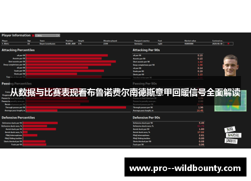从数据与比赛表现看布鲁诺费尔南德斯意甲回暖信号全面解读