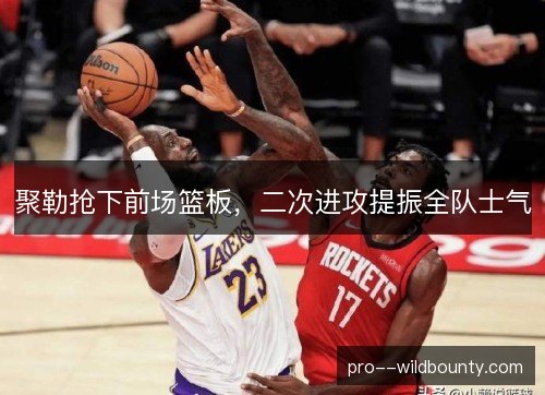 聚勒抢下前场篮板，二次进攻提振全队士气